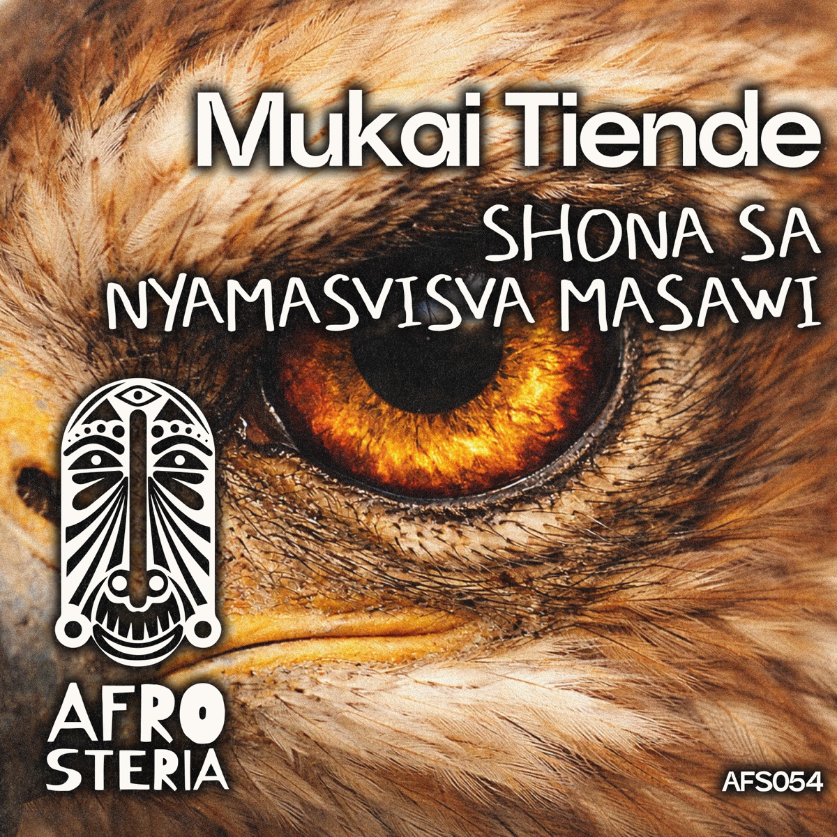 Mukai Tiende - Single by Shona SA & Nyamasvisva Masawi album cover