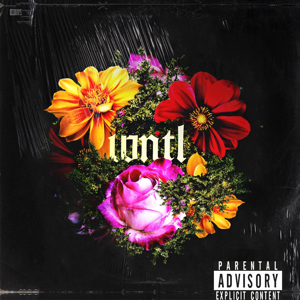 What's Not To Love? by Troyman album cover