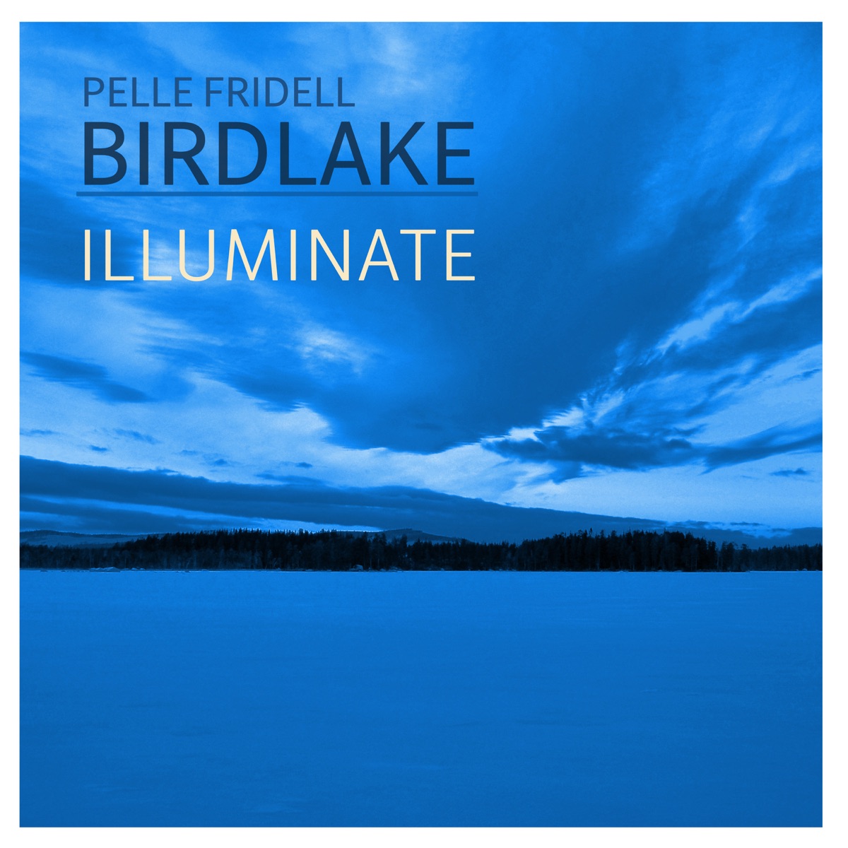 Illuminate (feat. Birdlake) - Single by Pelle Fridell album cover