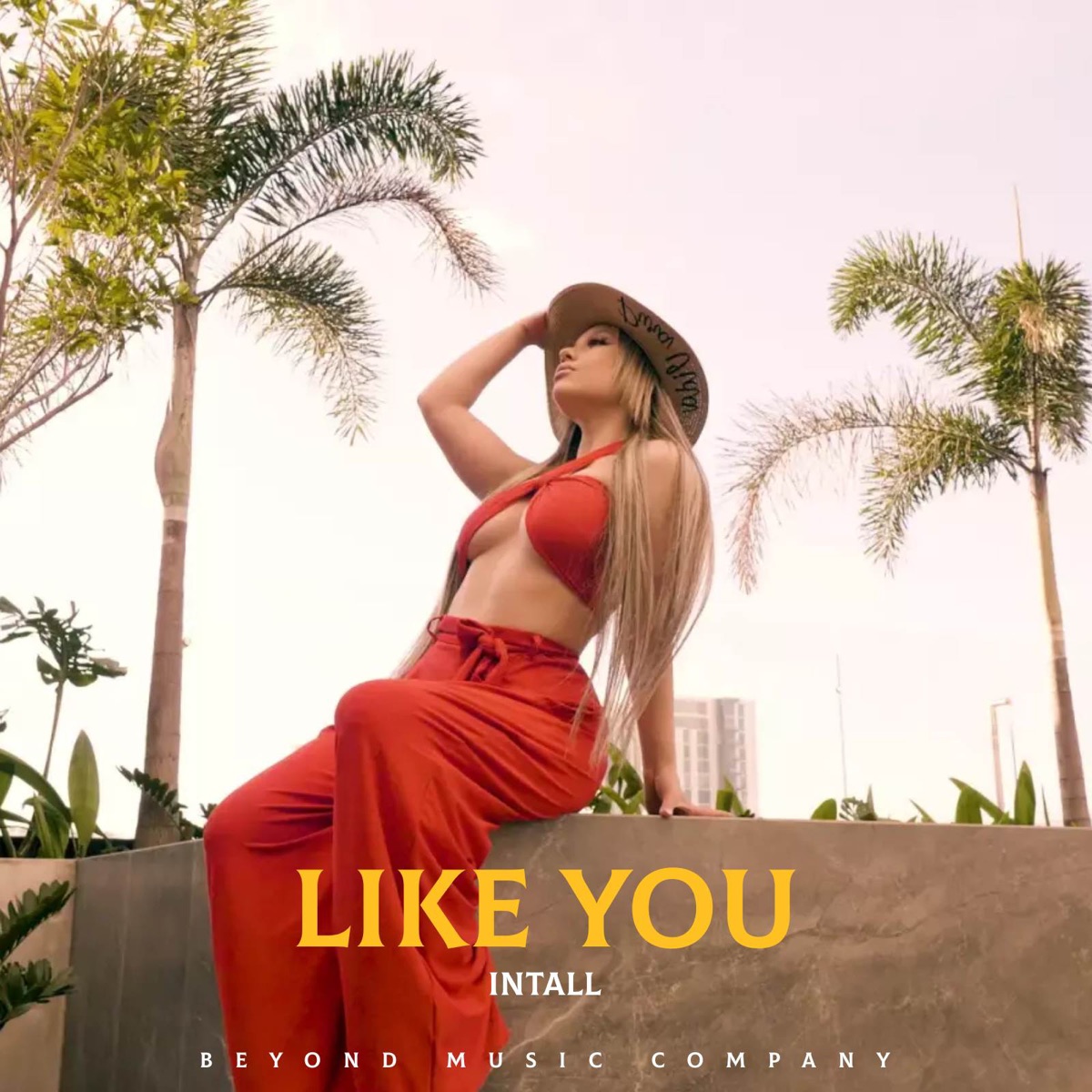 Like You - Single by Intall album cover