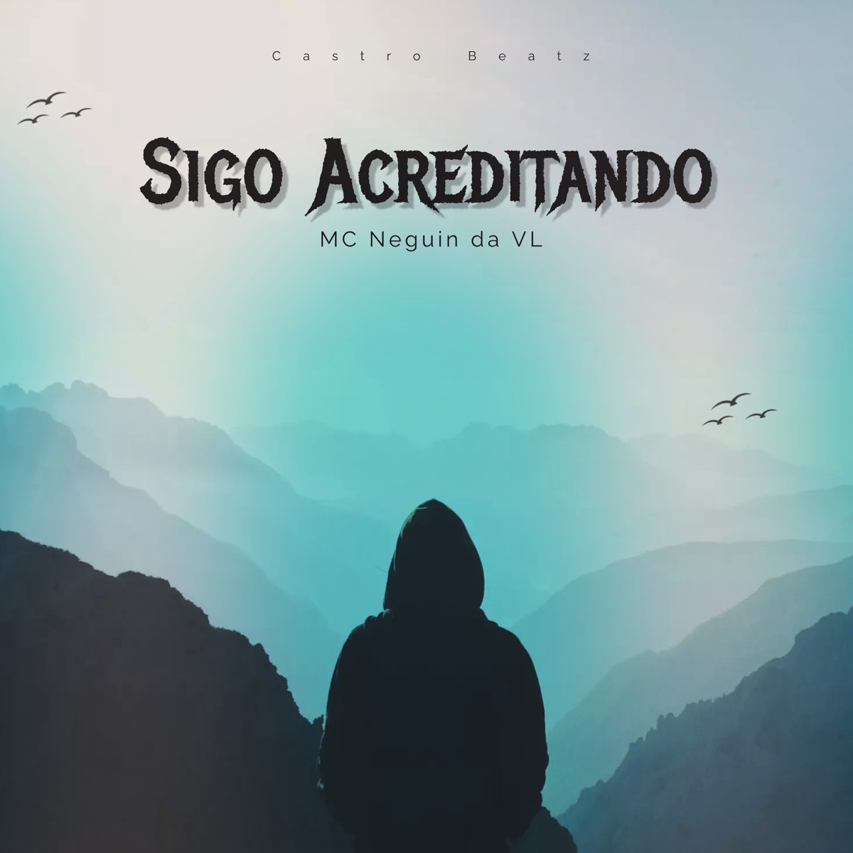 Sigo Acreditando - Single by Mc Neguin da VL & Castro Beatz album cover