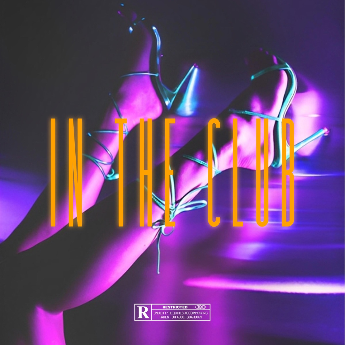 In The Club (feat. Young Weezy, YS Silent & YS Krazie) - Single by YS GVNG album cover