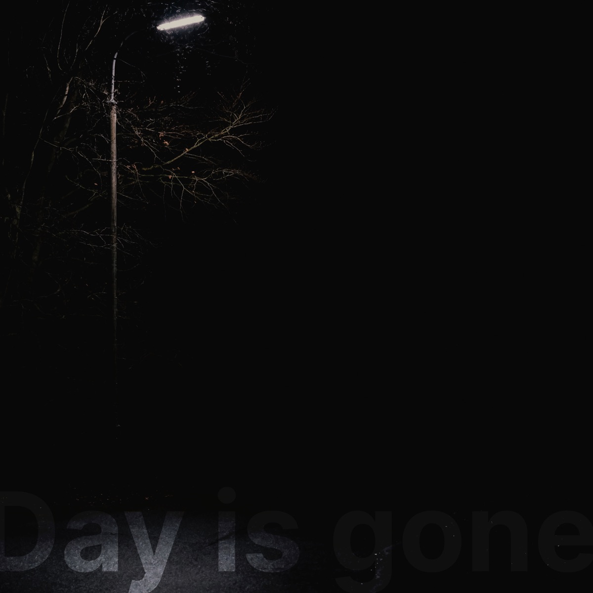 Day Is Gone - Single by Pål Bråtelund album cover