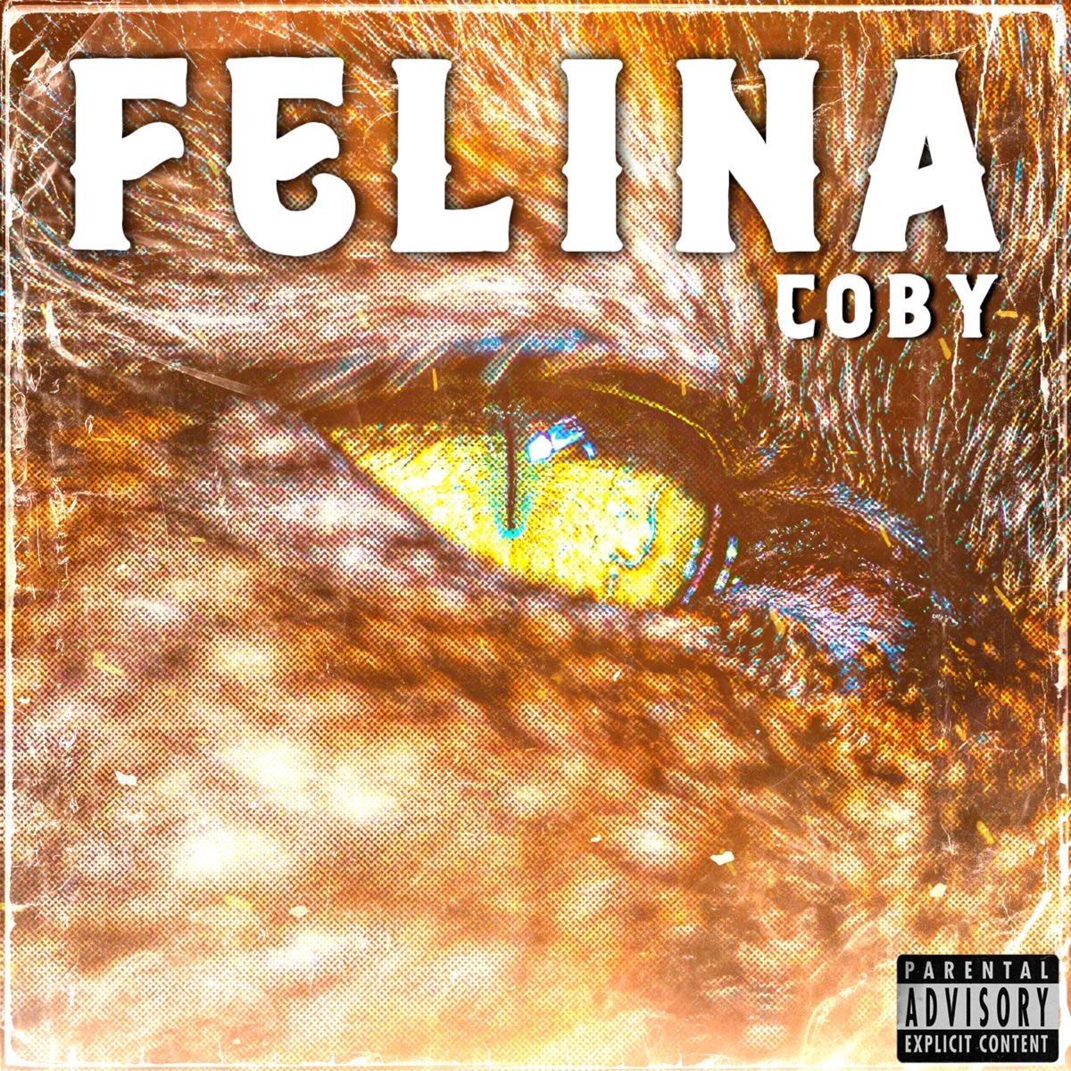 Felina - Single by coby album cover