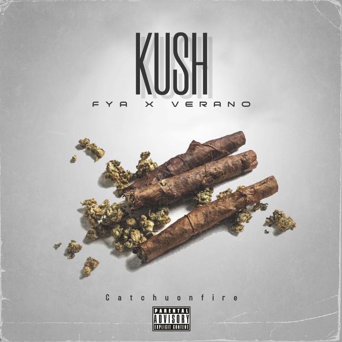 KU$h - Single by FYA2x album cover