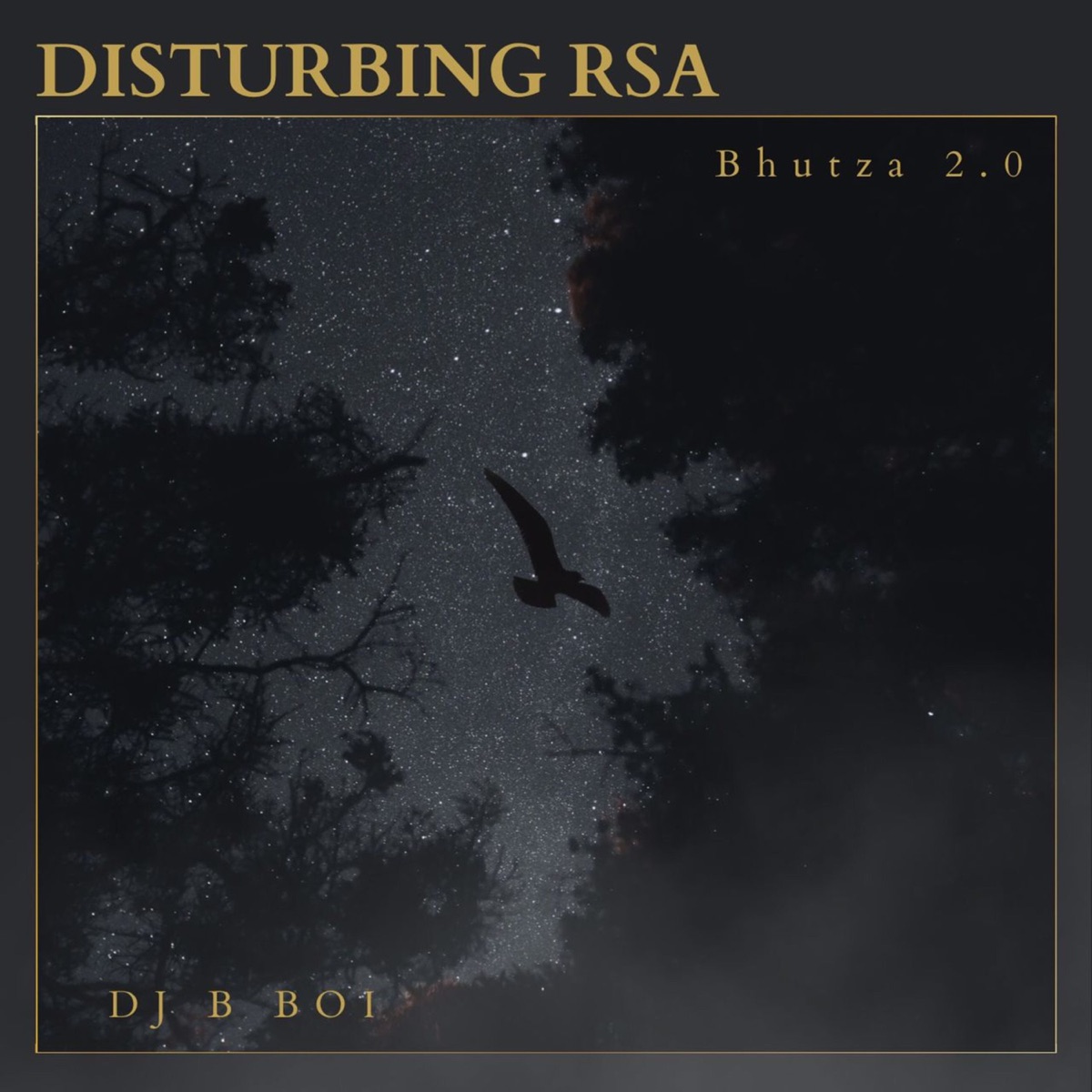 Disturbing RSA (feat. Bhutza 2.0) - Single by dJ B BOI album cover