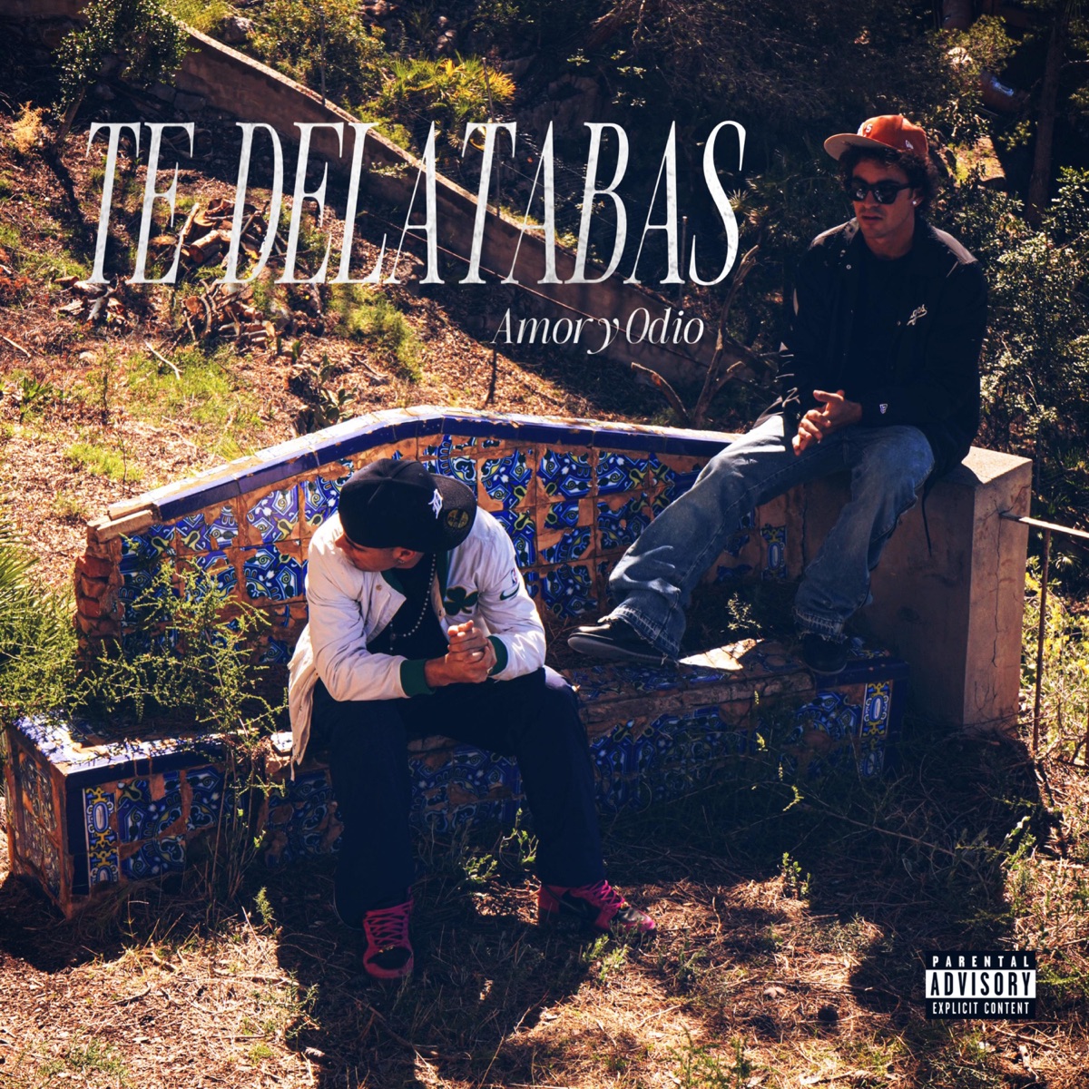 Te Delatabas - Single by AmoryOdio album cover
