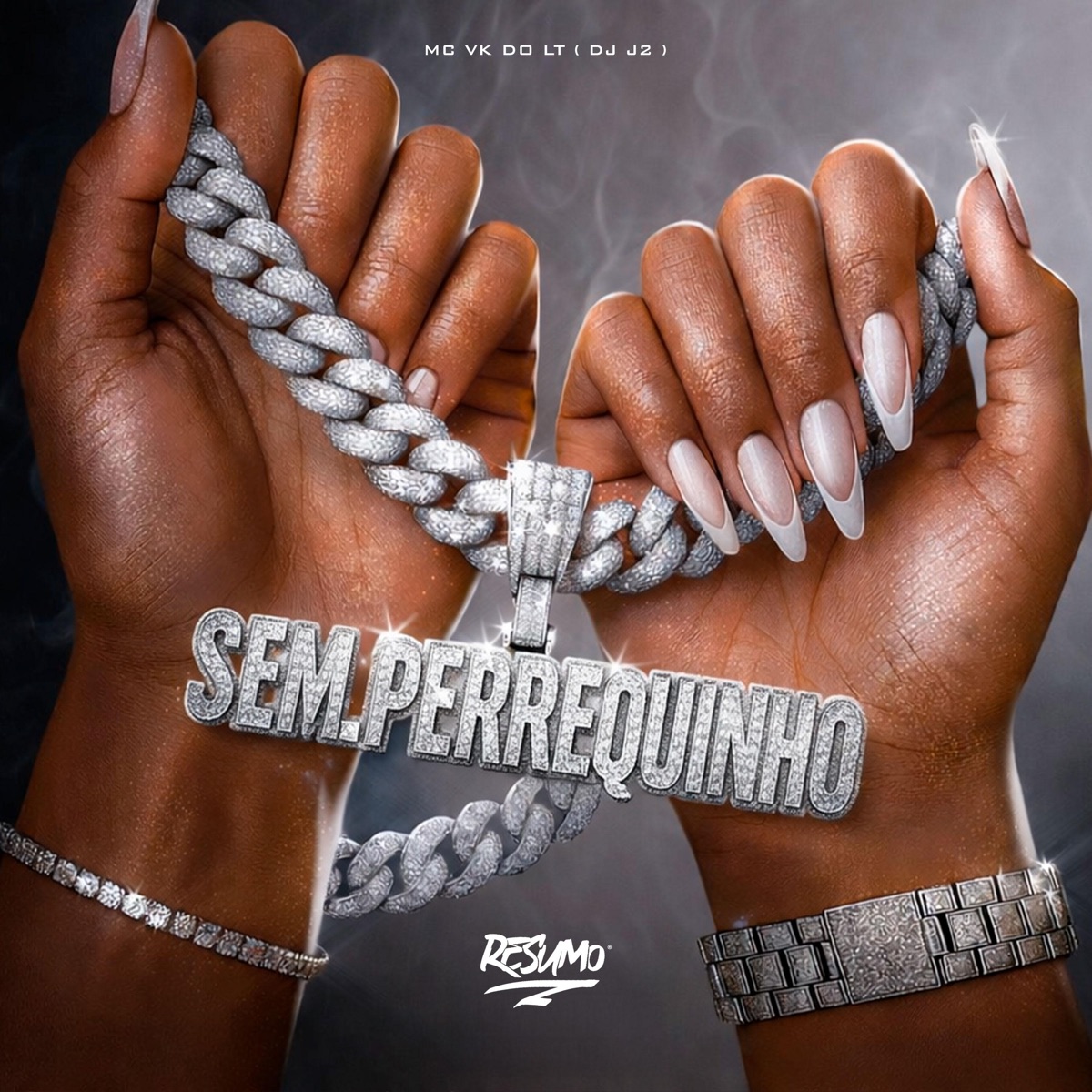 Sem Perrequinho - Single by Mc VK do LT & DJ J2 album cover