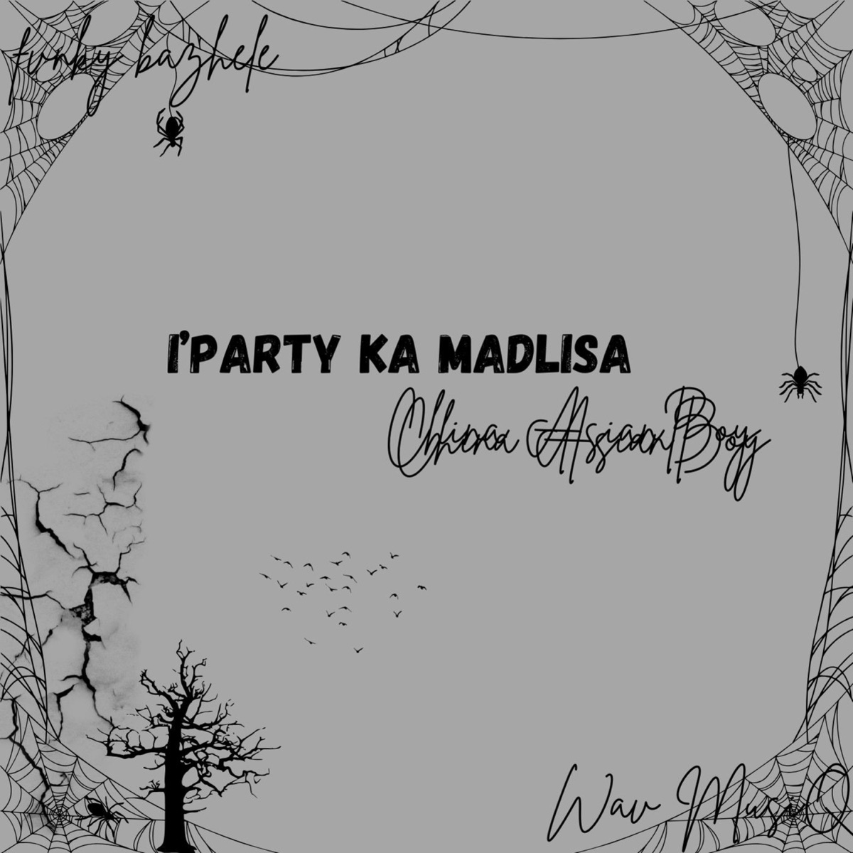 I'party Ka Madlisa - Single by China AsianBoy, Fvnky bazhele & Wav MusiQ album cover