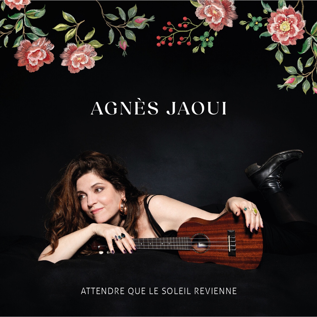 Attendre que le soleil revienne by Agnès Jaoui album cover