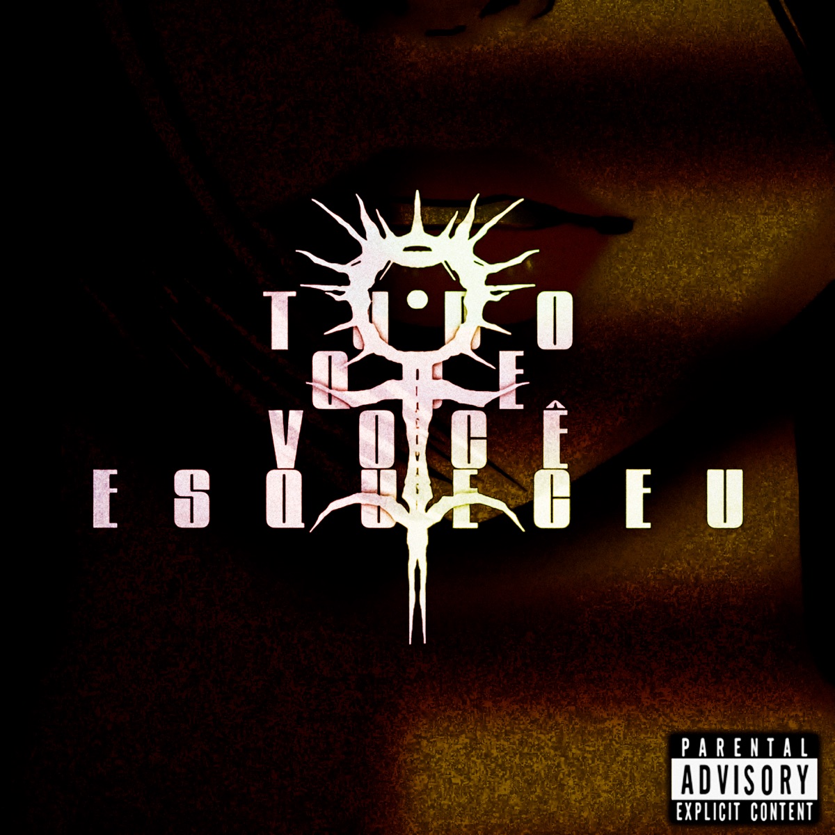 tudo que você esqueceu - Single by akanizzi album cover