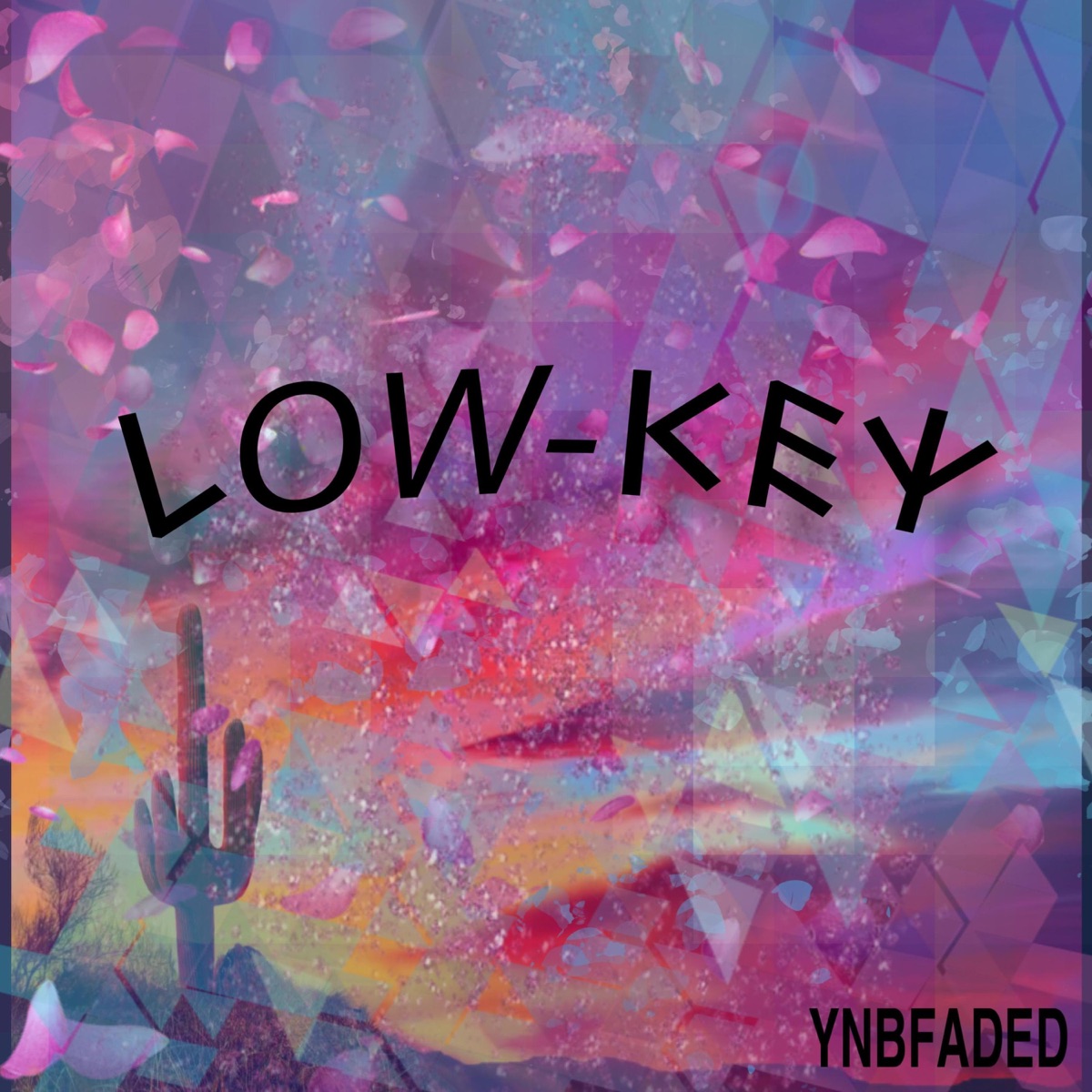 Low-Key - Single by YNB-FADED album cover
