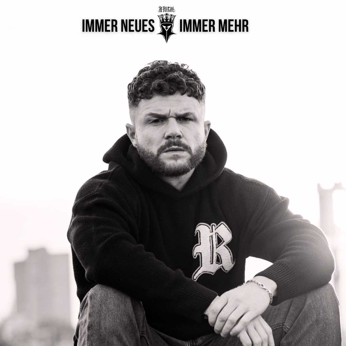 Immer Neues Immer Mehr - Single by B Rich album cover