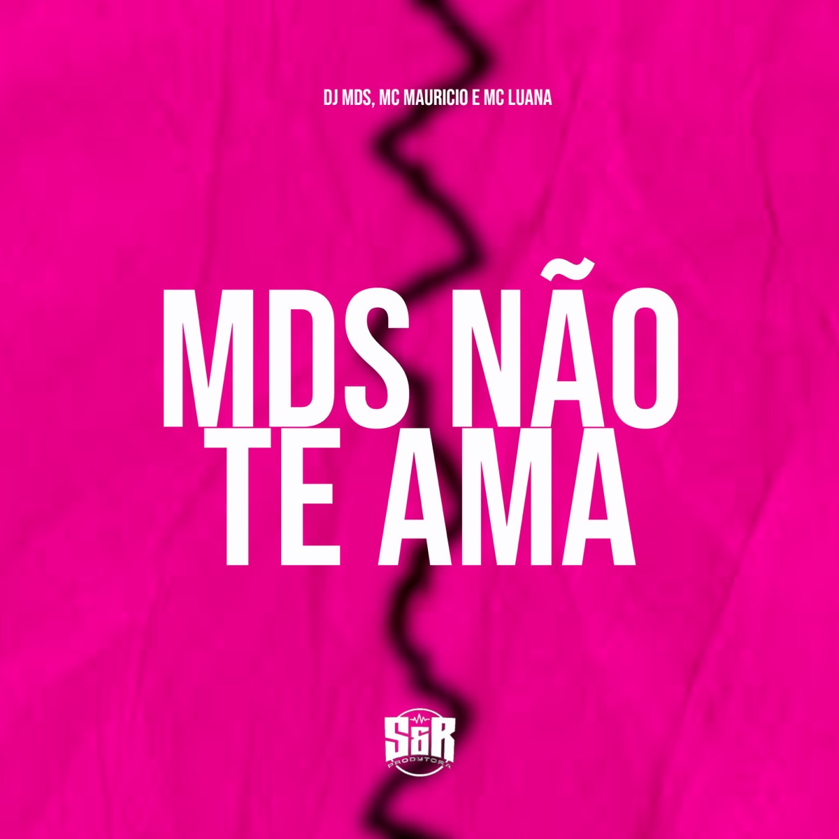 Mds Não Te Ama - Single by DJ MDS, Mc Mauricio & Mc Luana album cover
