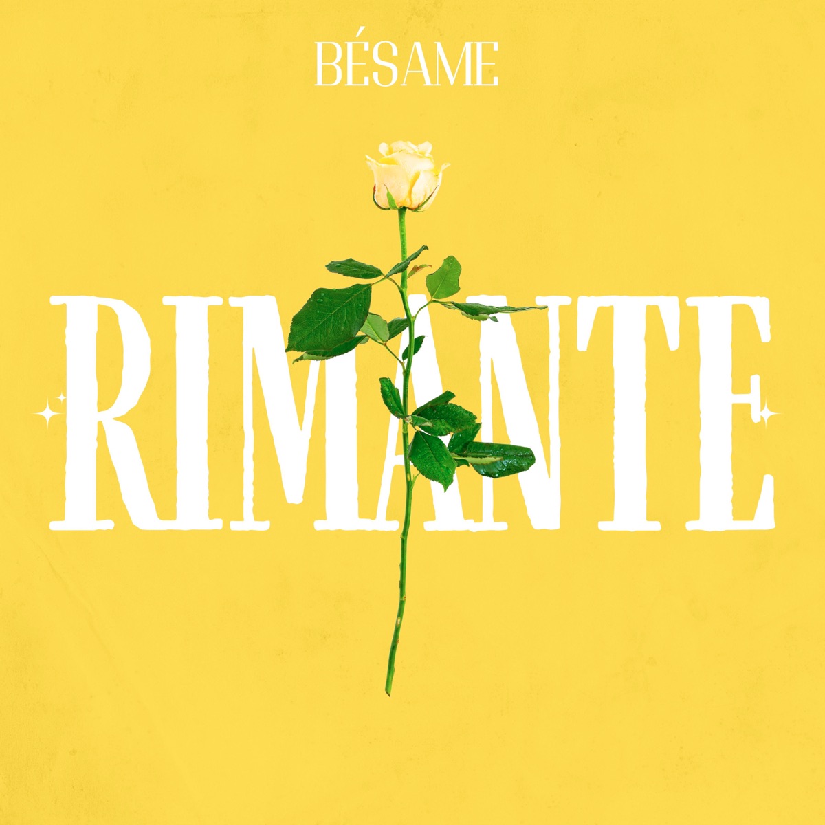Bésame - Single by Rimante album cover