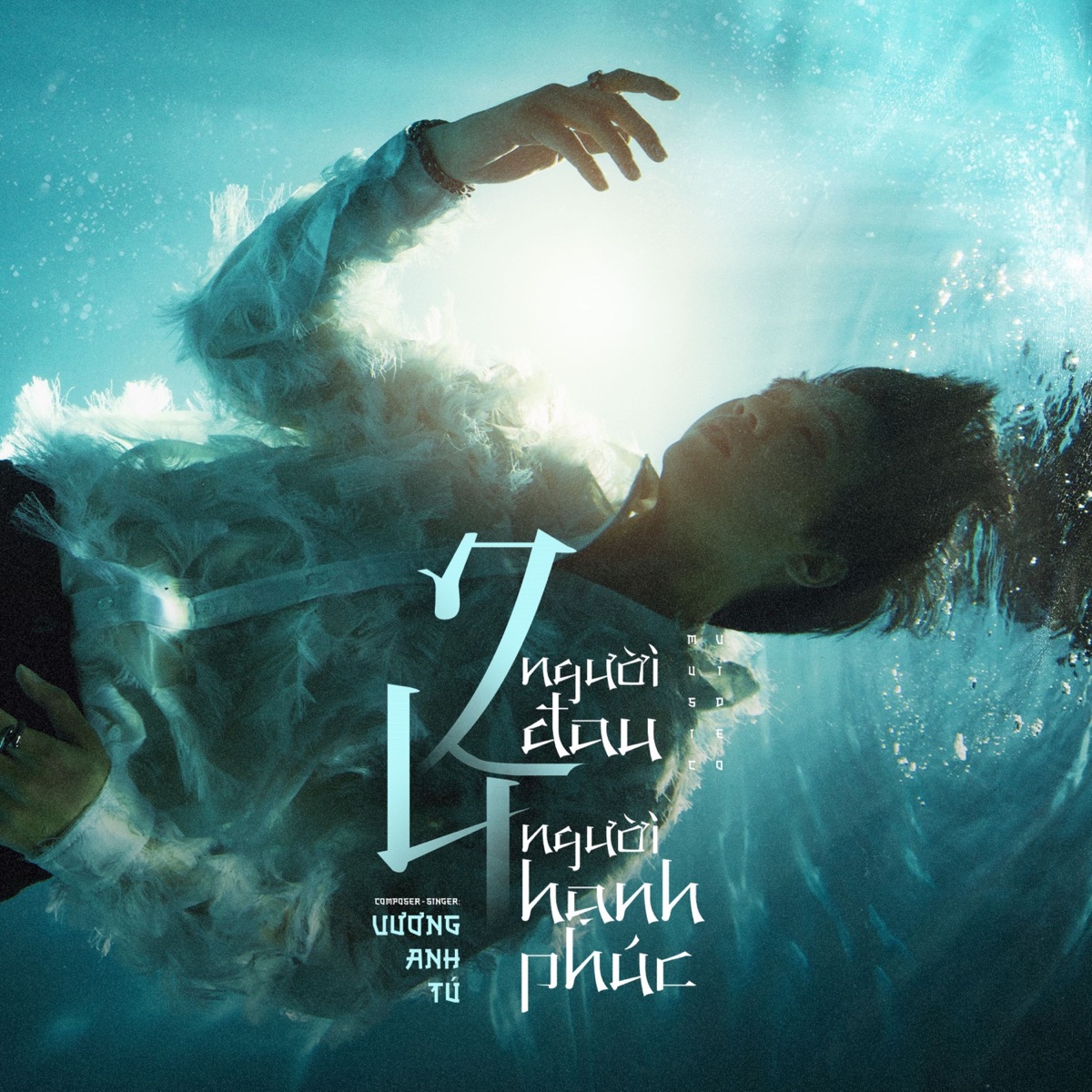 2 Người Đau 4 Người Hạnh Phúc - Single by Vương Anh Tú album cover