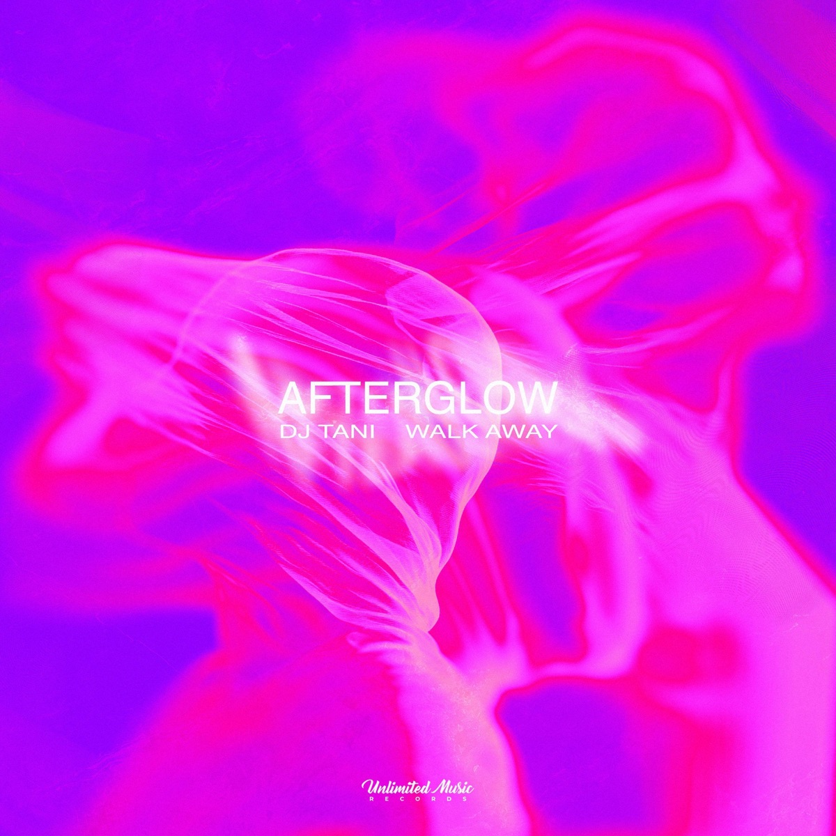 Afterglow (Techno) - Single by dj tani & walkaway album cover