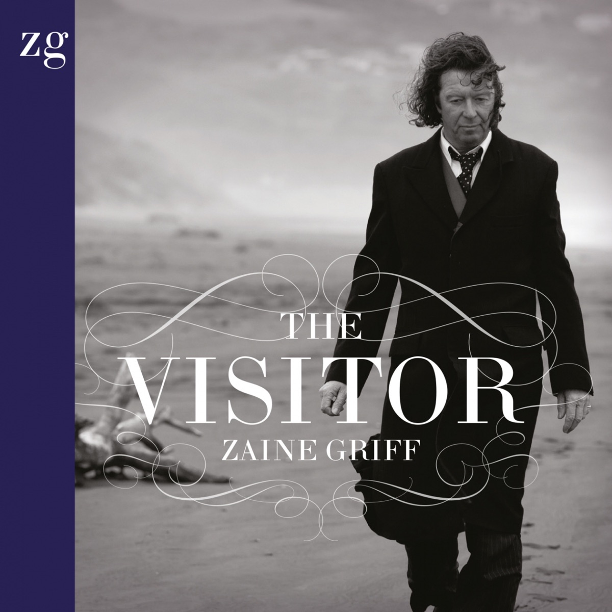 The Visitor by Zaine Griff album cover