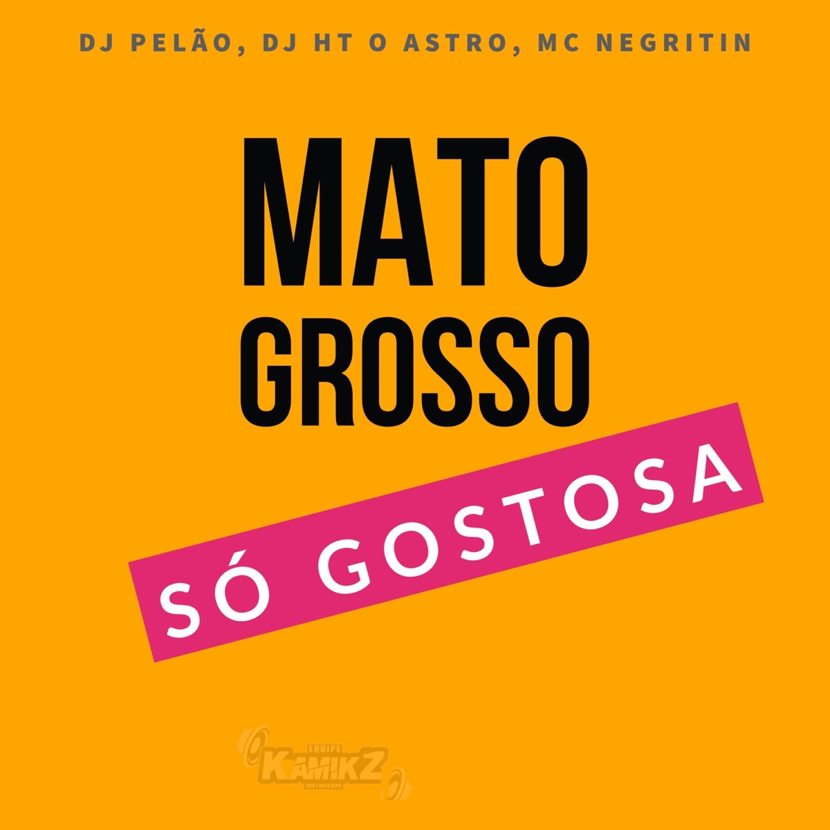 Mato Grosso Só Gostosa (feat. DJ HT O ASTRO) - Single by dj pelão, MC Negritin & Carreta Kamikz album cover