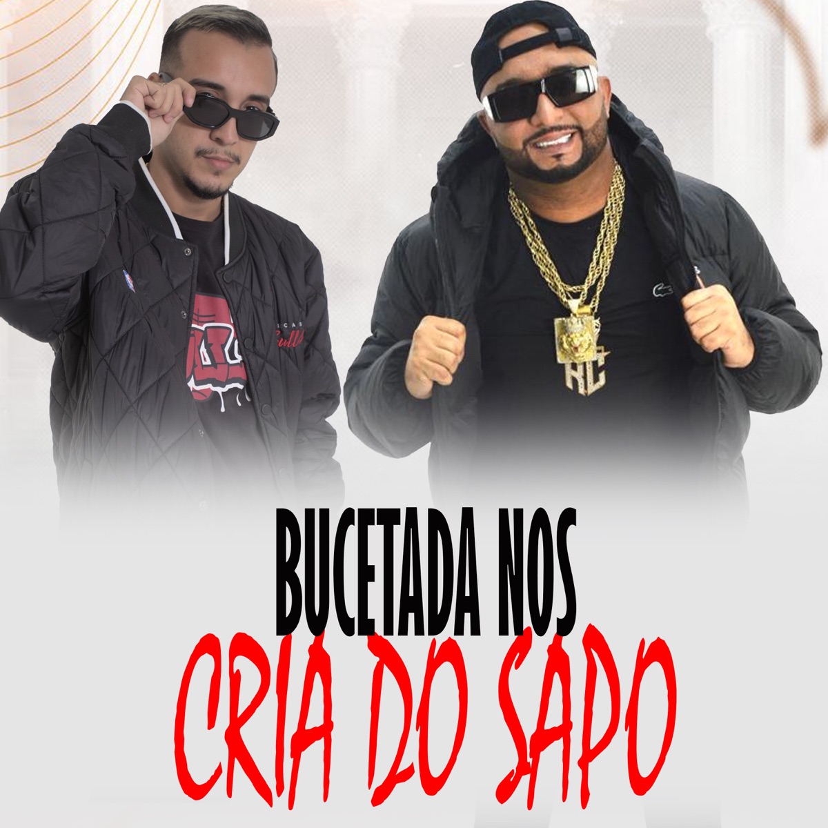 BUCETADA NOS CRIA DO SAPO - Single by Dj Christian vibe & MC Roba Cena album cover
