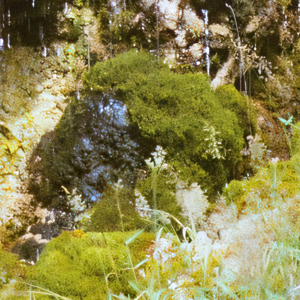 fonte (strumentali) by Bliwo & Yaree album cover