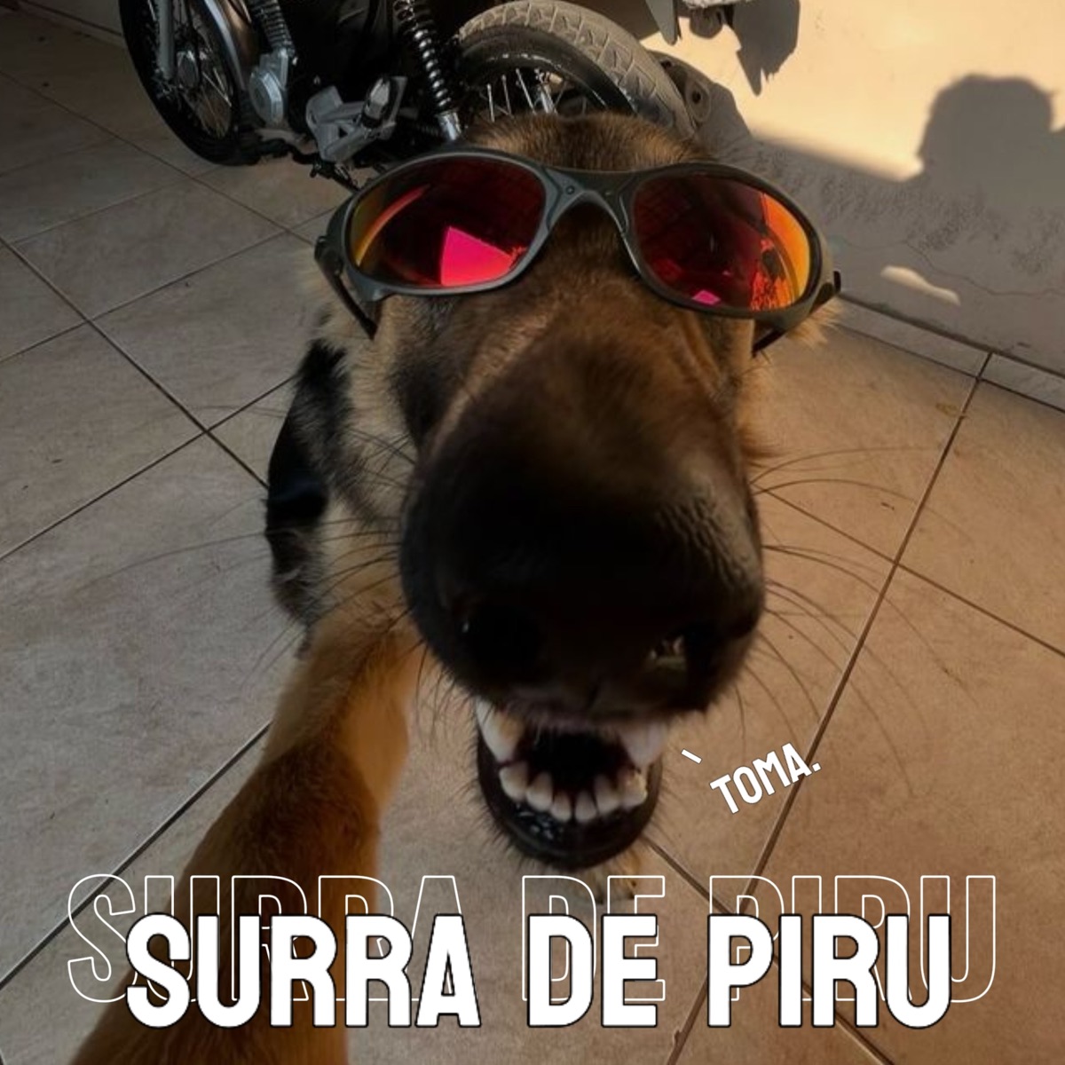 Toma surra de piru - Single by DJ VITUBALAH & MC VK DA VS album cover