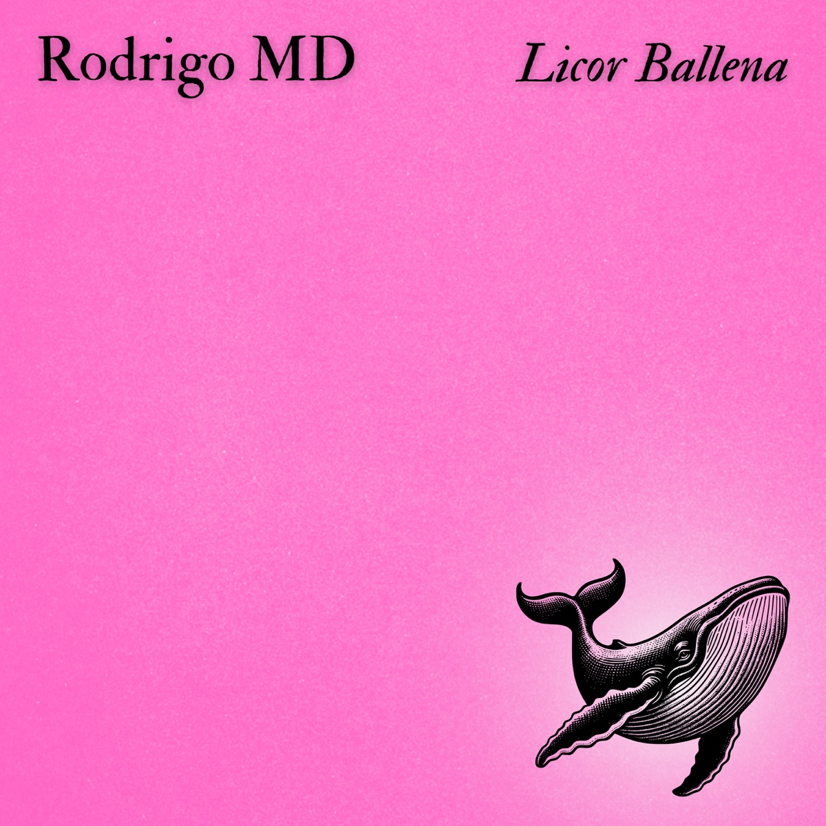 Licor Ballena - Single by Rodrigo MD album cover