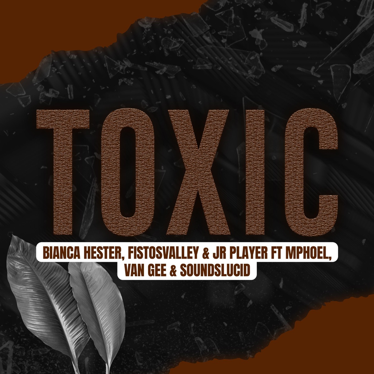 Toxic (feat. MphoEL, Van Gee & Soundslucid) - Single by Bianca Hester, Fistosvalley & JR Player album cover