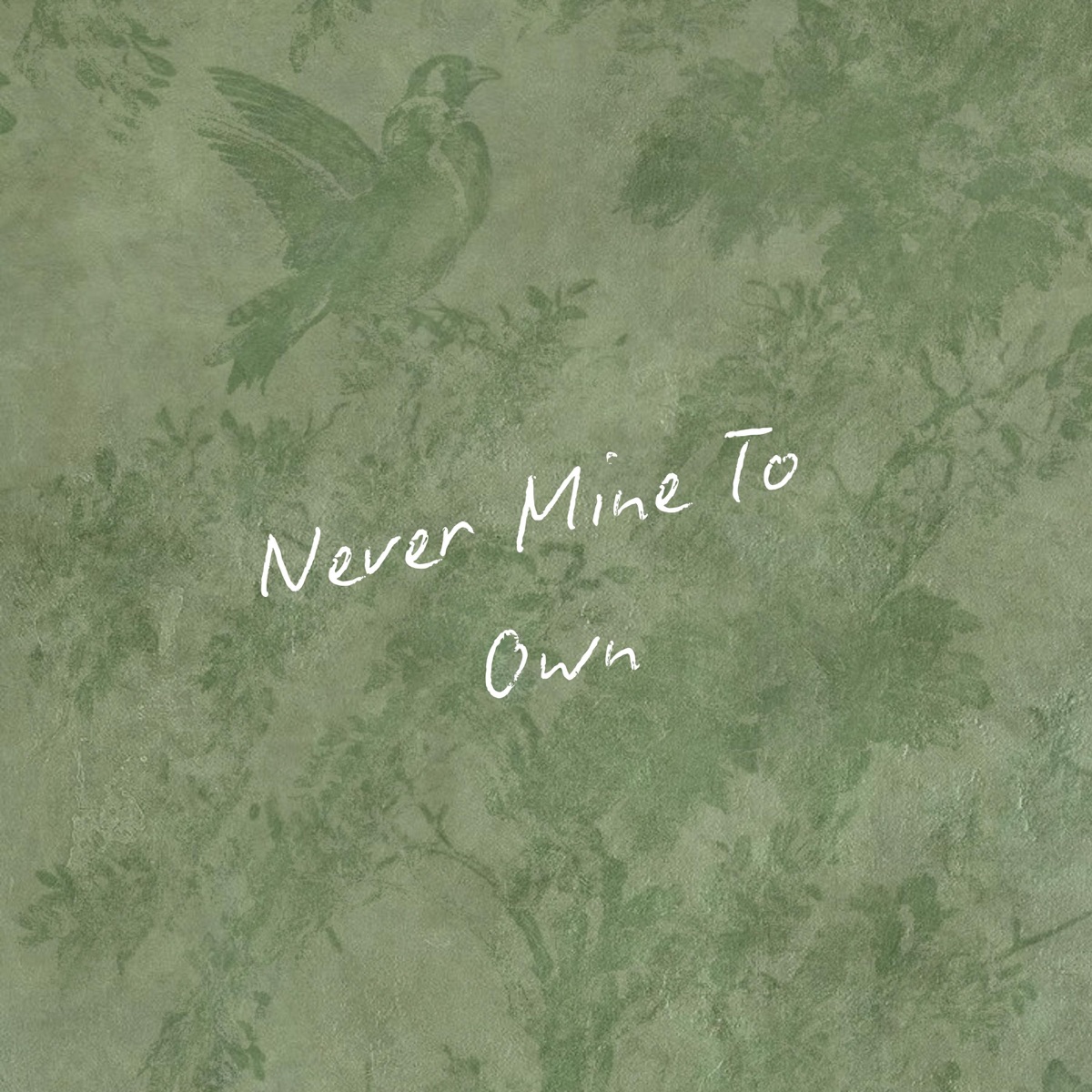 Never Mine To Own - Single by Bryson Jarrett album cover