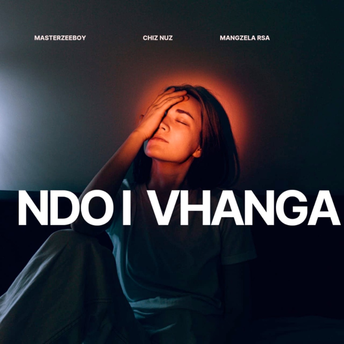 Ndo I Vhanga (feat. Mangzela Rsa & Chiz Nuz) - Single by MasterZeeboy album cover