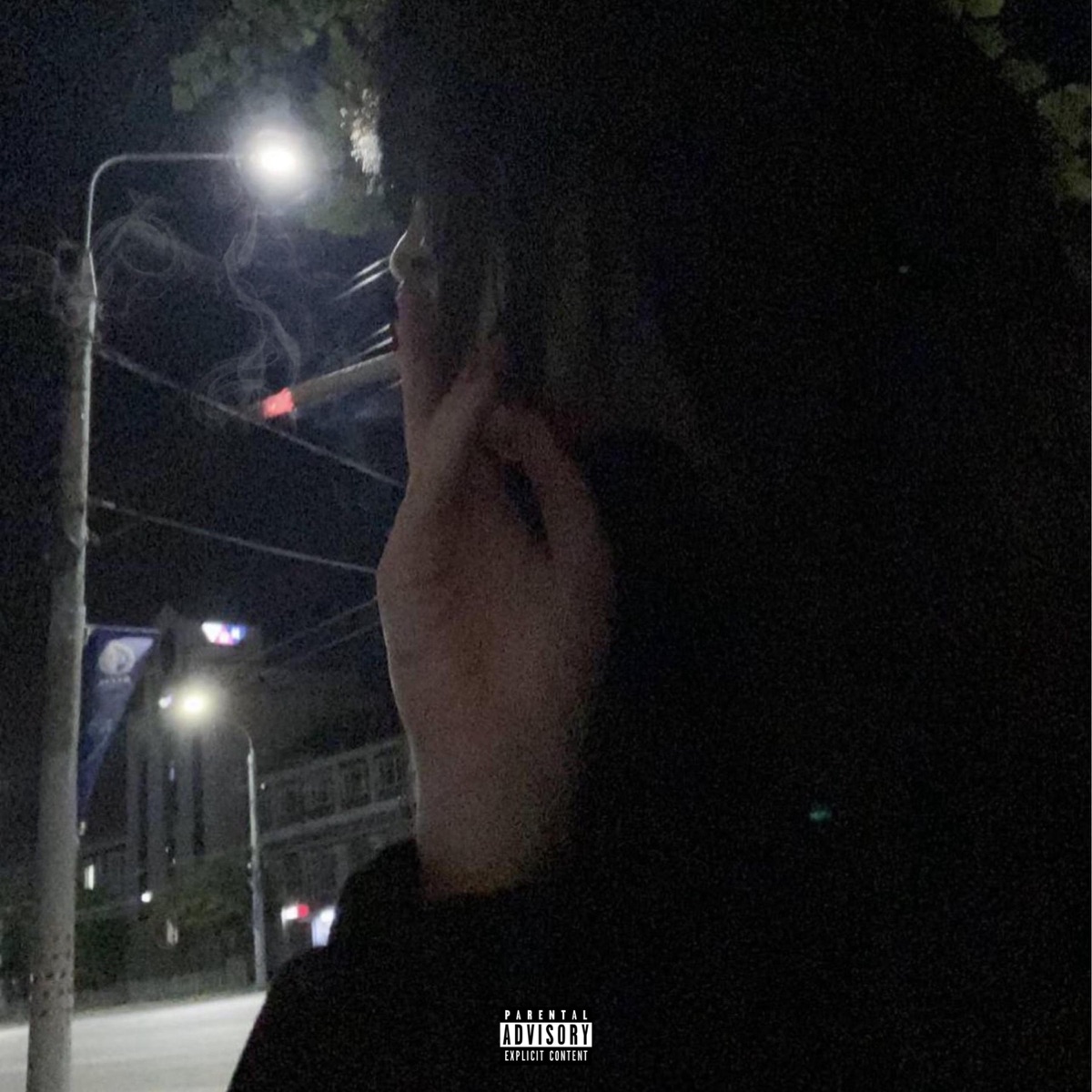 Never Played - Single by $oulja.Indica album cover