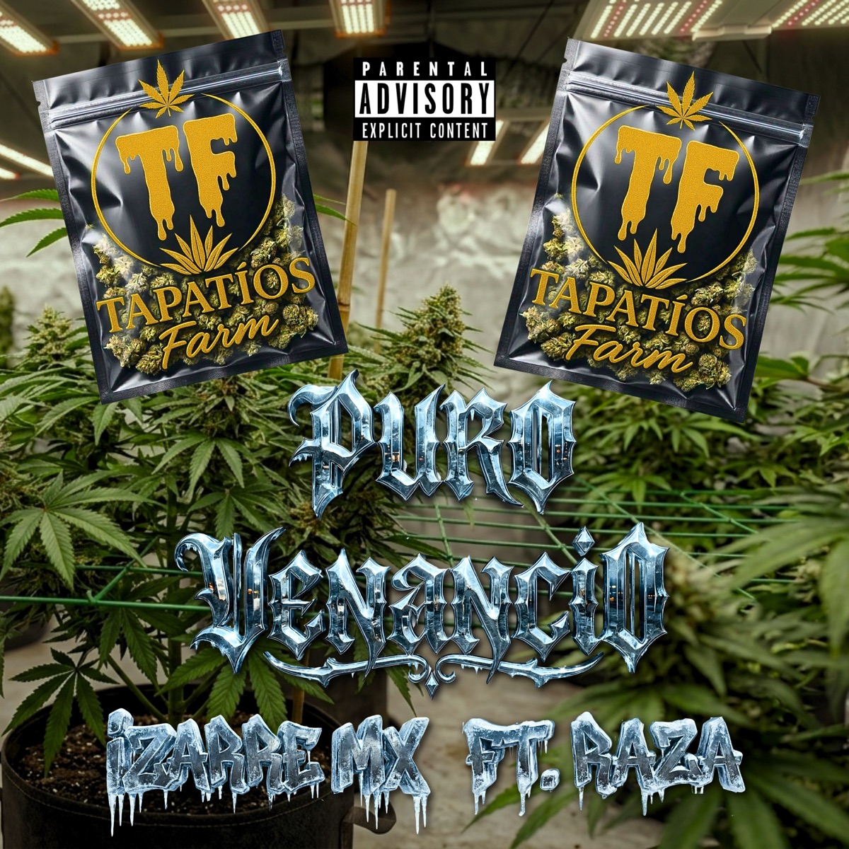 Puro Venancio (feat. El Raza) - Single by Izarre album cover
