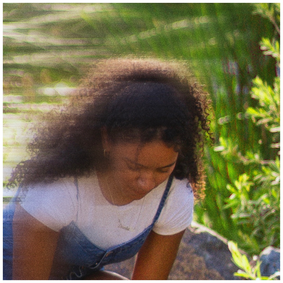 Dont - Single by Daji & hirayah album cover