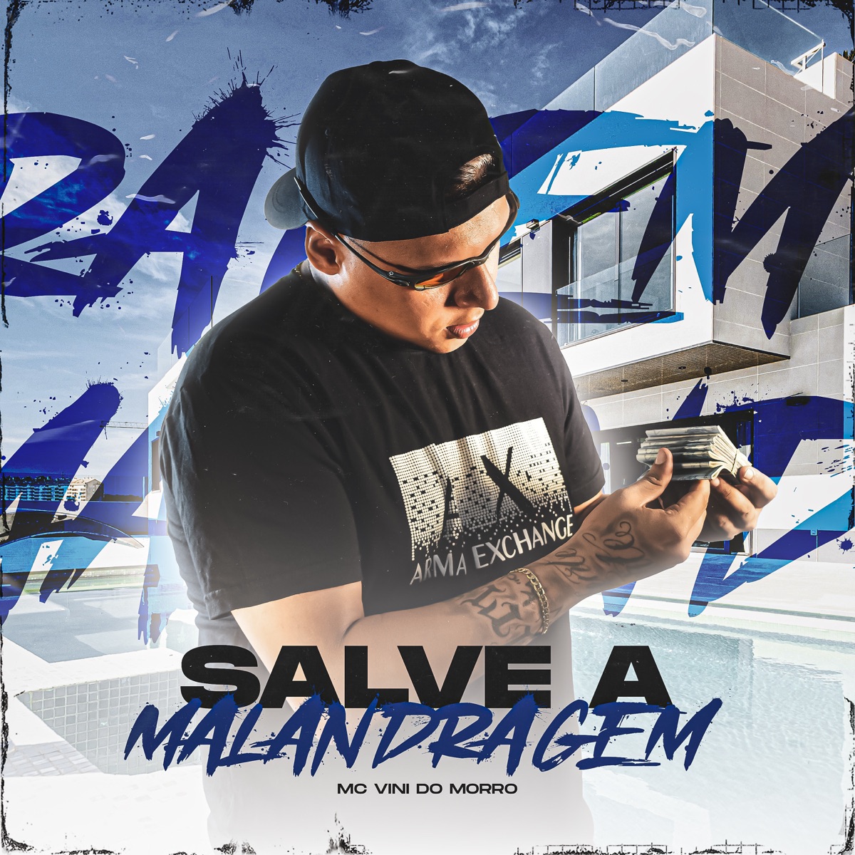 Salve a Malandragem - Single by MC Vini do Morro & Torvylone album cover