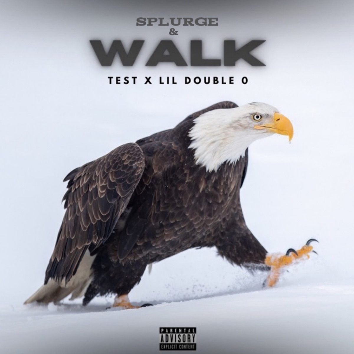 Splurge & Walk - Single by Test & Lil Double 0 album cover artwork