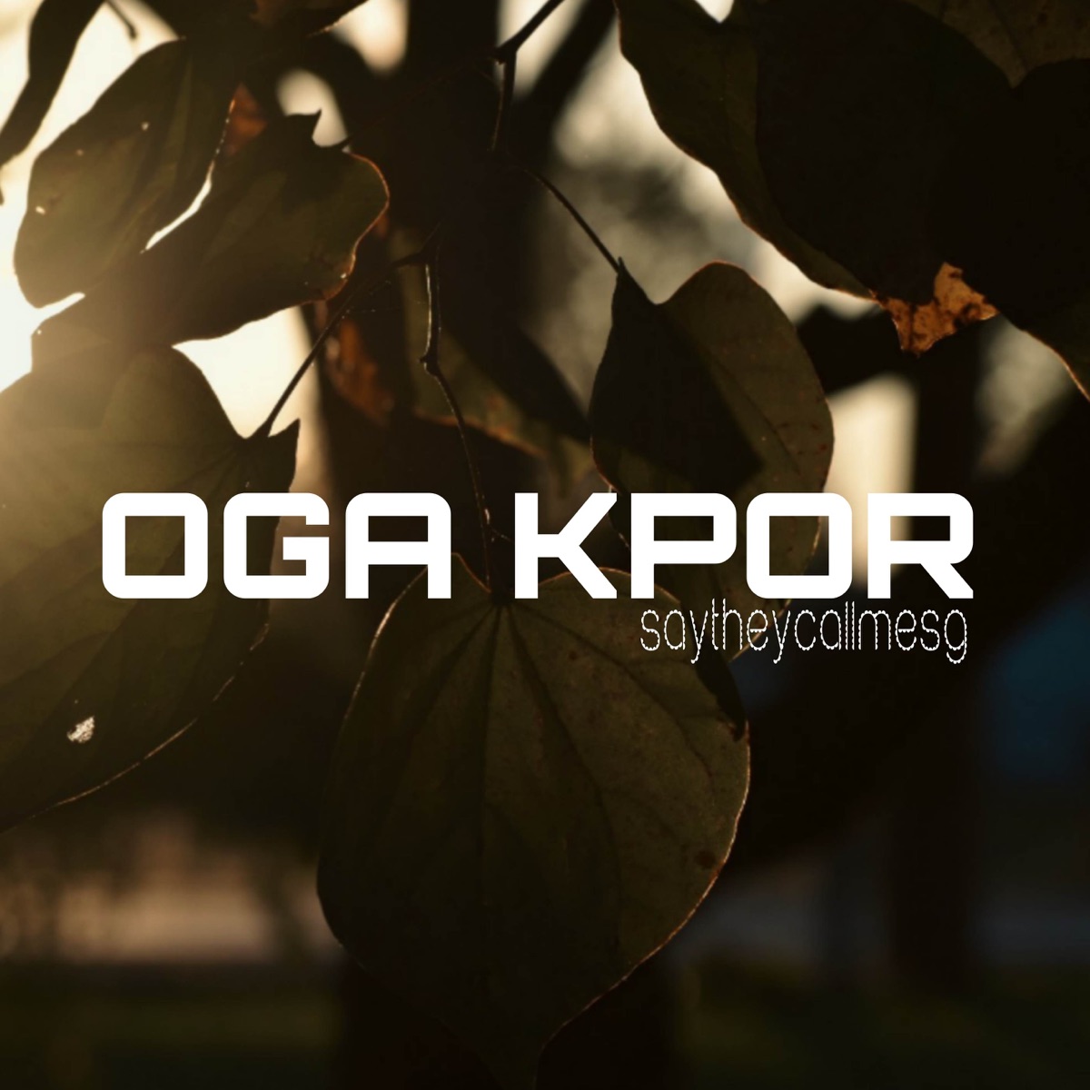 OGA KPOR - Single by Saytheycallmesg & DMW album cover