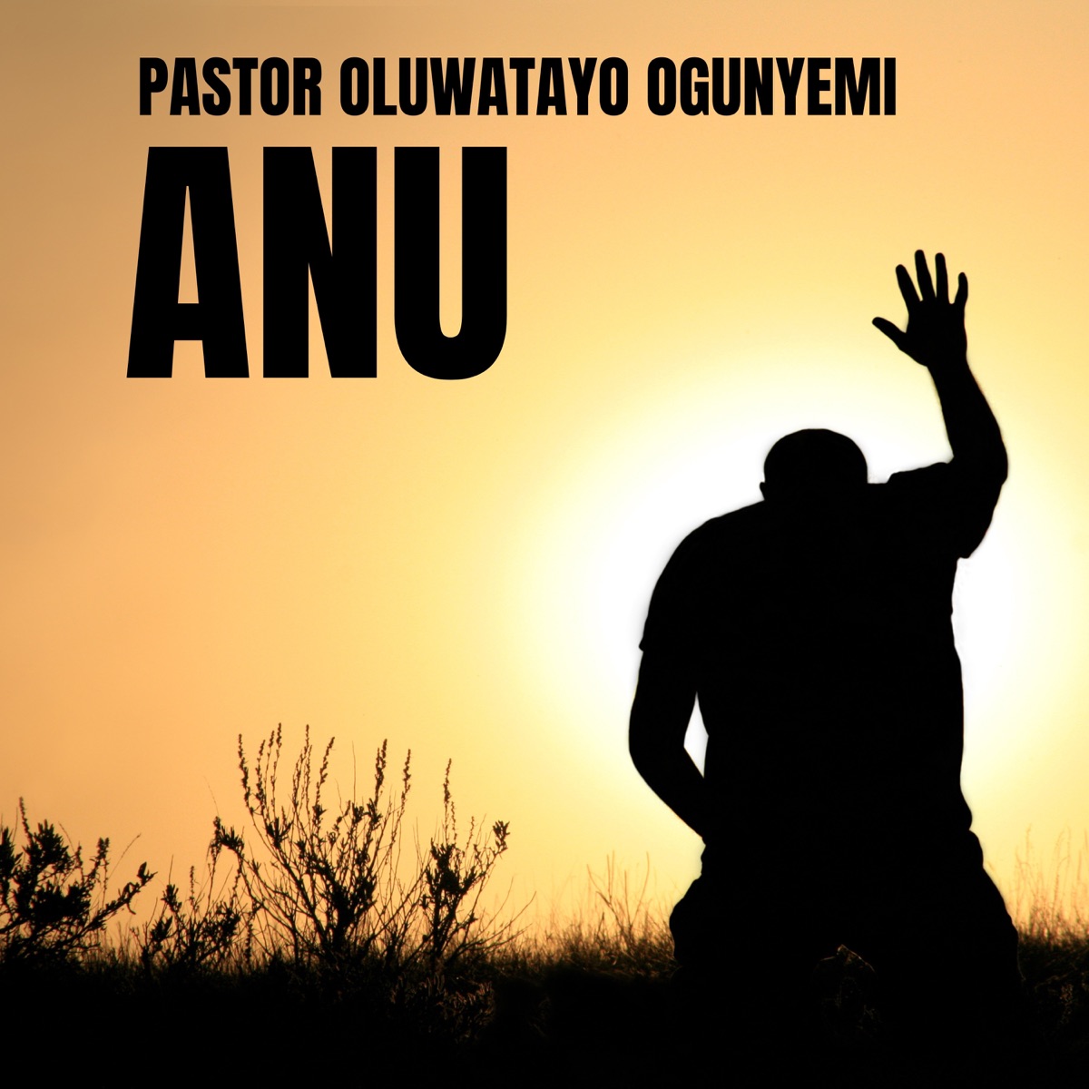 Anu - Single by Pastor Oluwatayo Ogunyemi album cover