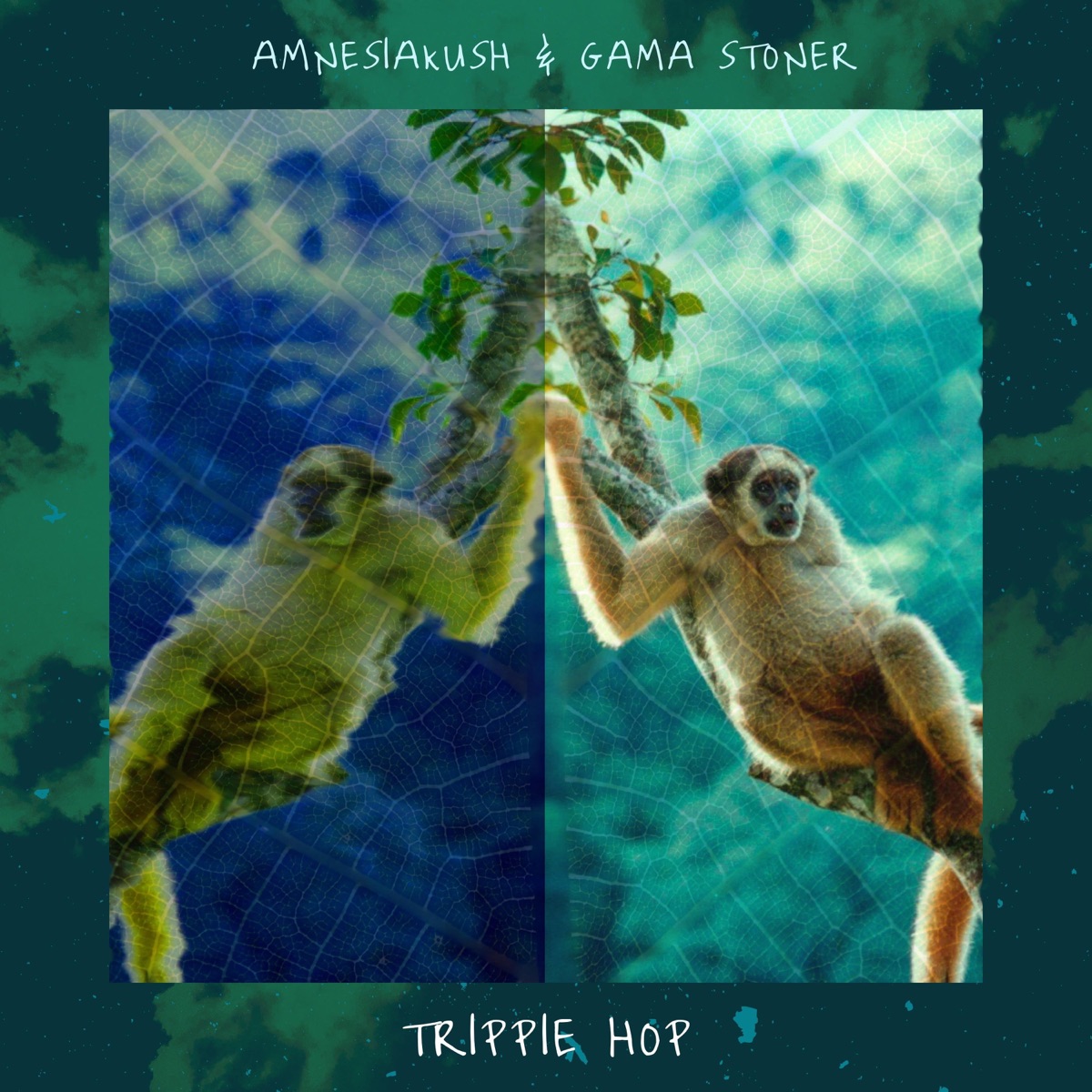 Trippie Hop - Single by Gama Stoner & Amnesiakush album cover