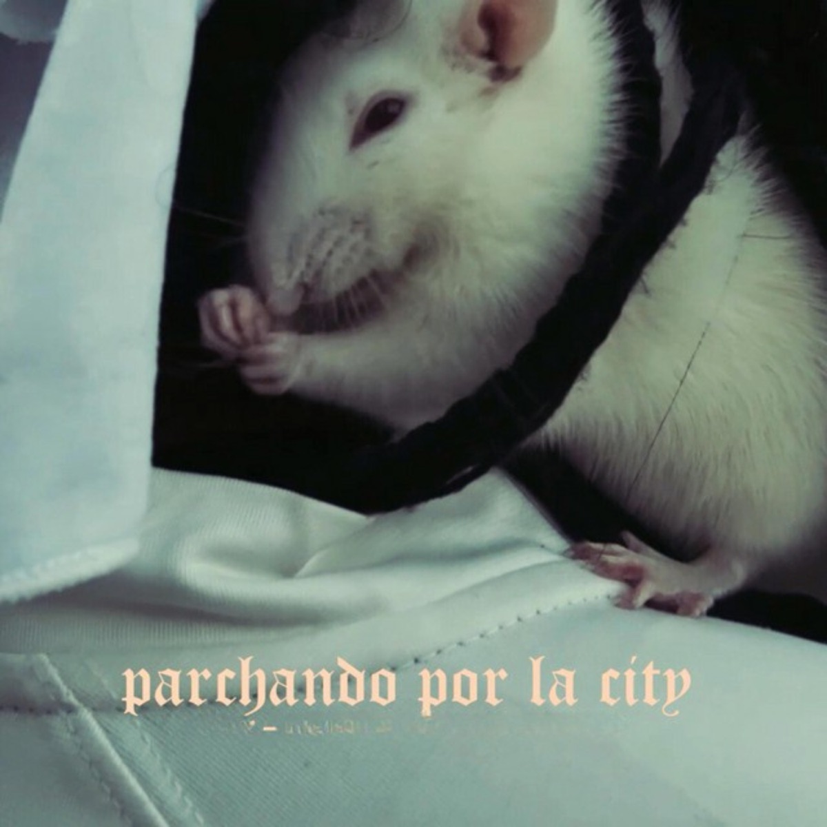 Parchando por la City - Single by Camaleónica & El sonido del javier album cover