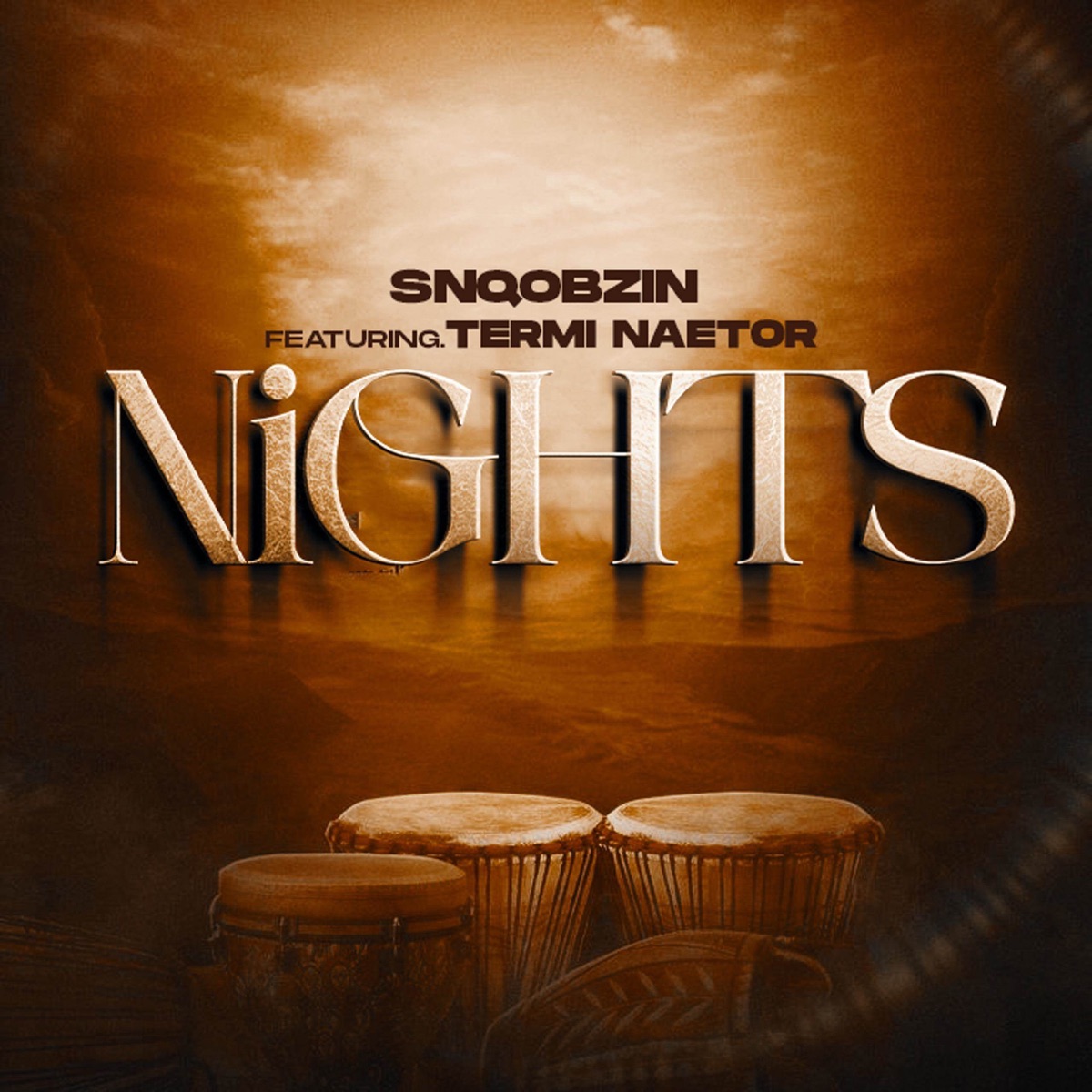 Nights (StellenBosch Mix) [feat. Termi Naetor] - Single by Snqobzin album cover