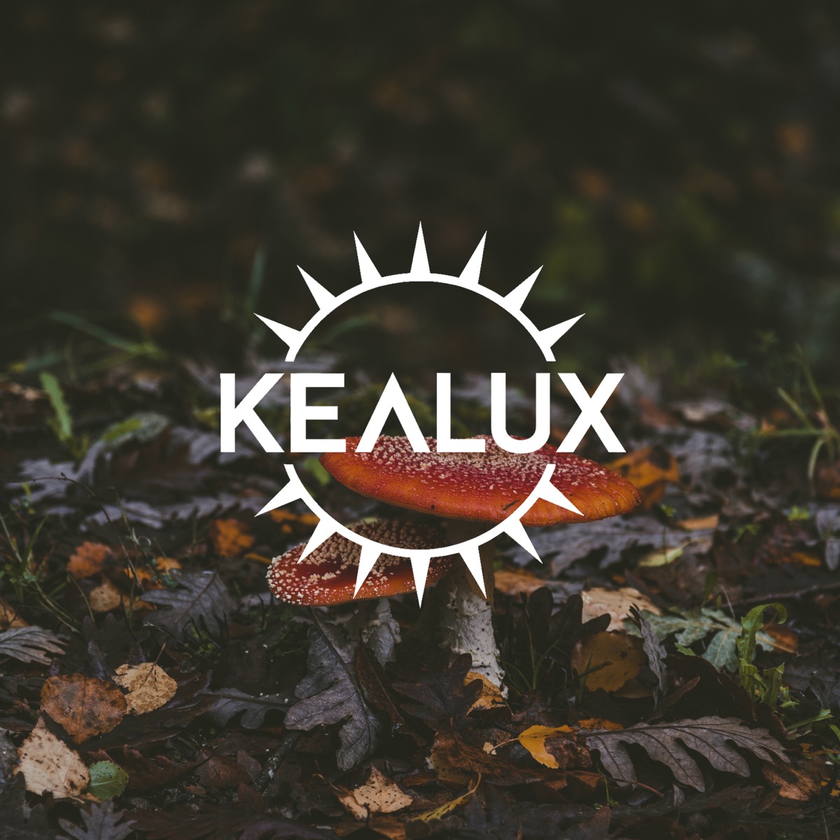 Fungal Fairytales - EP by Kealux album cover