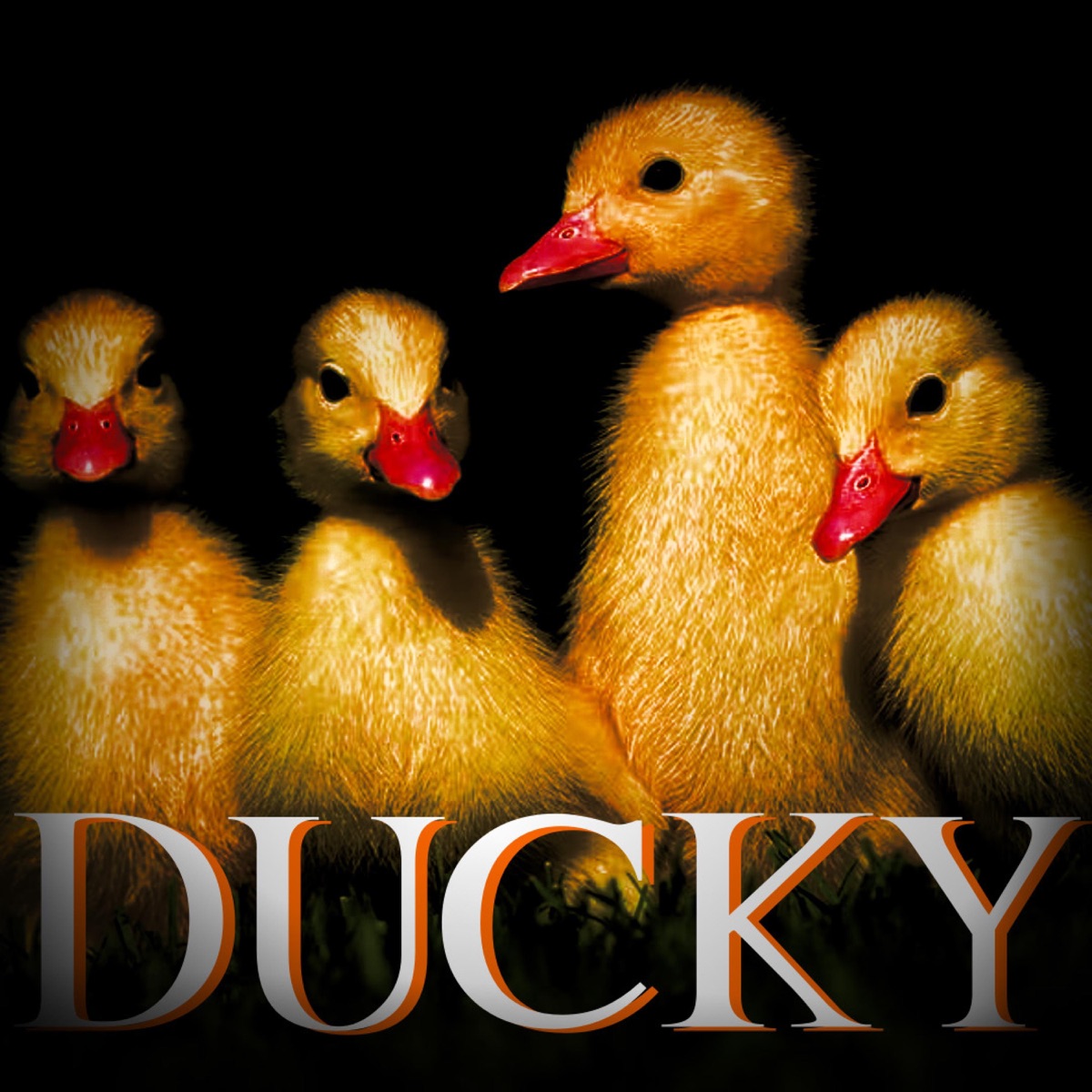 Ducky - Single by Dr. Duck album cover