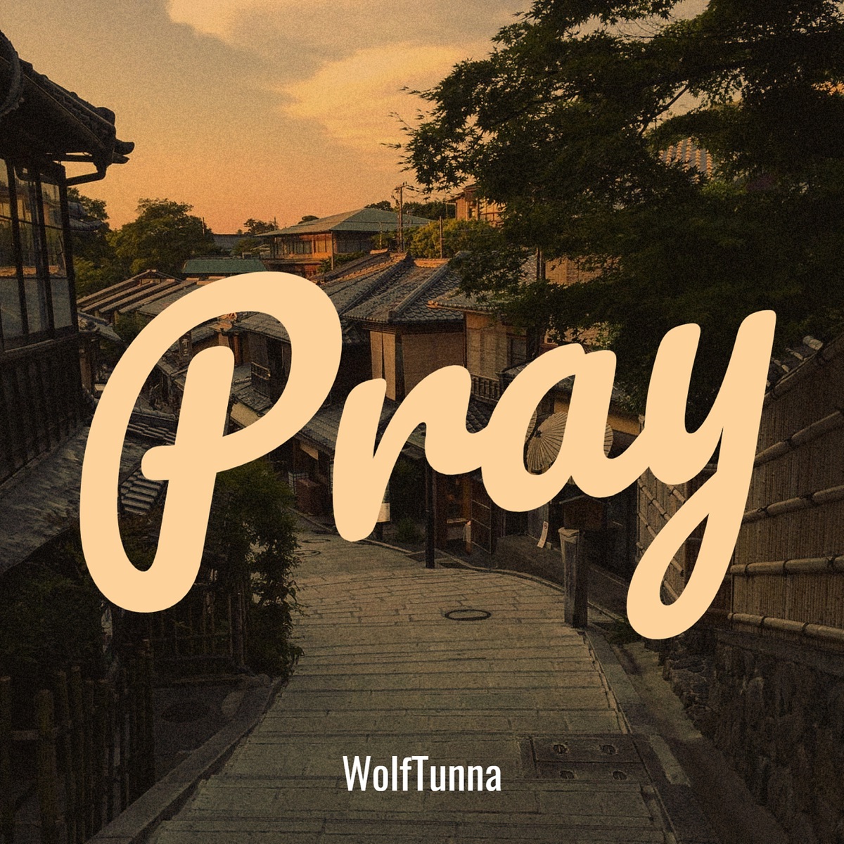 Pray - Single by WolfTunna album cover