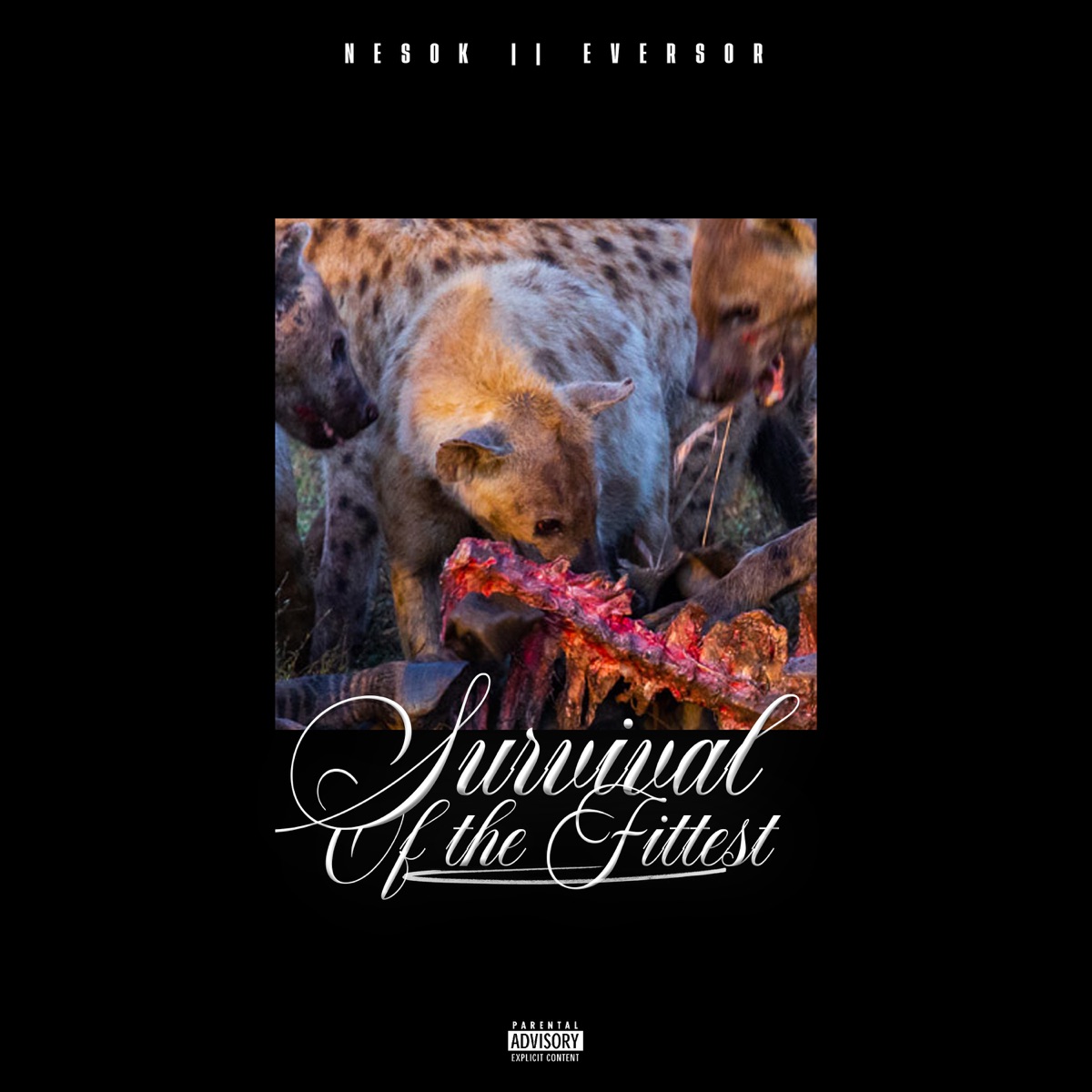 Survival Of The Fittest by Nesok & Eversor album cover