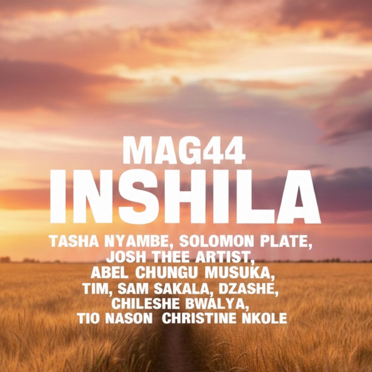 Inshila (feat. Tasha Nyambe, Solomon Plate, Josh Thee Artist, Abel Chungu Musuka, Tim, Sam Sakala, Dzashe, Chileshe Bwalya, Tio Nason & Christine Nkole) - Single by Mag.44 album cover