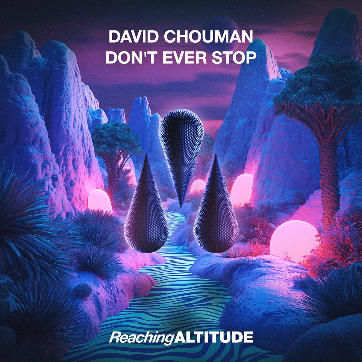 Don't Ever Stop - Single by David Chouman album cover