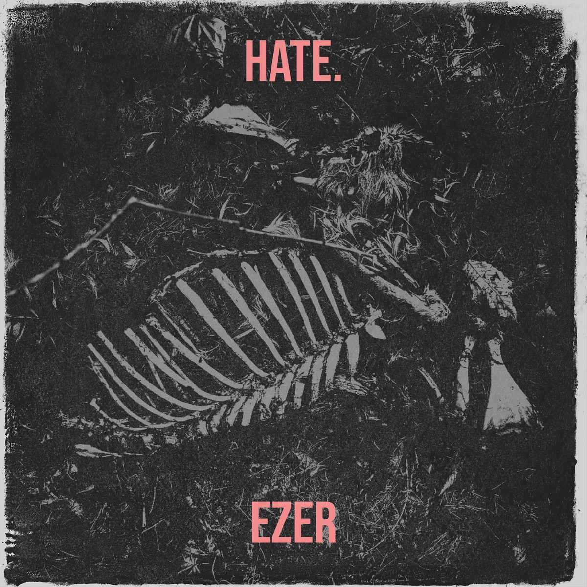 Hate. - Single by Ezer album cover