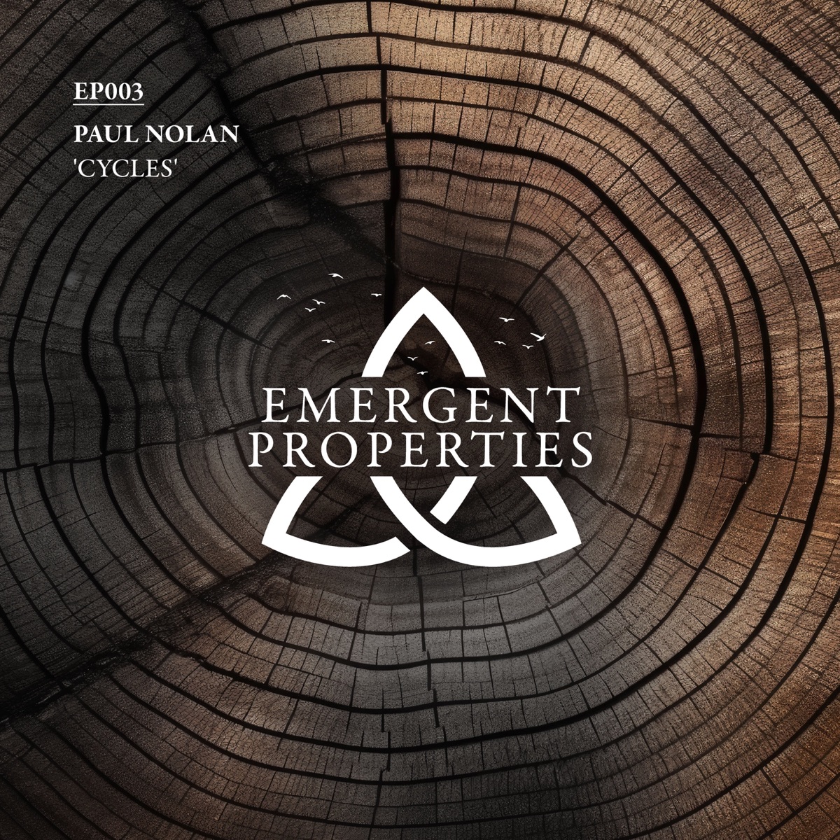 Cycles - Single by Paul James Nolan album cover