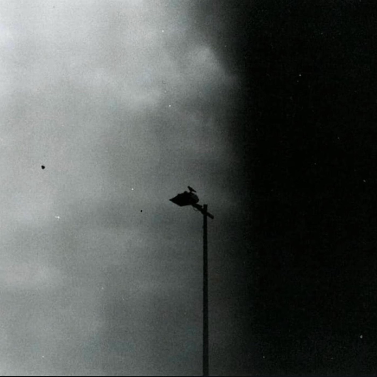 Primitive Zeiten - Single by NTS & Nepomukk album cover