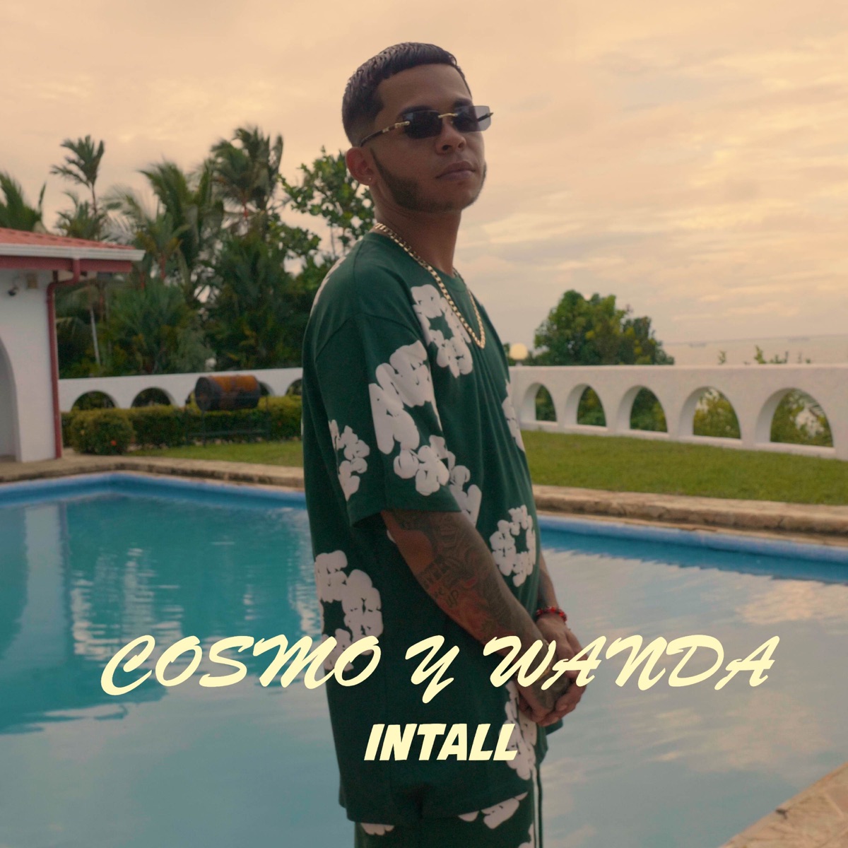 Cosmo y Wanda - Single by Intall album cover